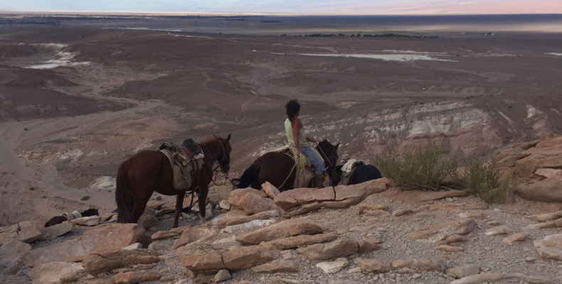 K05 Chili Atacama 1.jpg